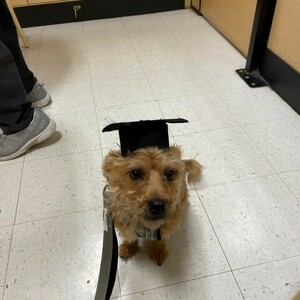 Fundraising Page: Melissa Woods